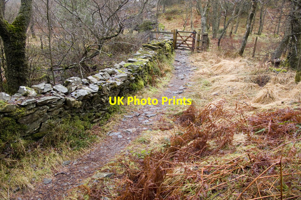 Photo 6"x4" Footpath from High Dam to Rusland Rushland Cross c2011