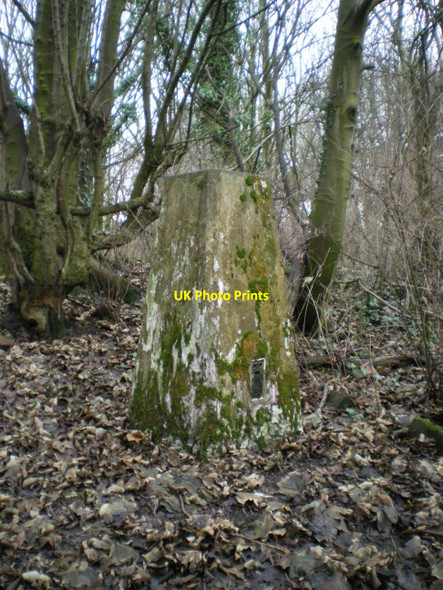 Photo 6"x4" Cockshutt woods trig point Donnington Wood c2011