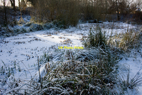 Photo 6"x4" Pool, Copthorne Park Shrewsbury c2010
