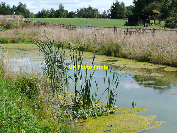 Photo 6"x4" Droitwich Junction Canal below Lock No 5 Droitwich c2010