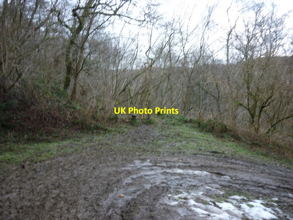 Photo 6"x4" A footpath through Fewler Gate Wood, Hard Dale Silpho c2011