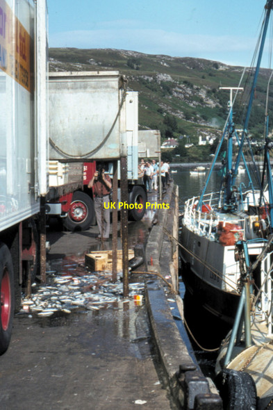 Photo 6"x4" Ullapool - 1983 Ullapool c1983 P1