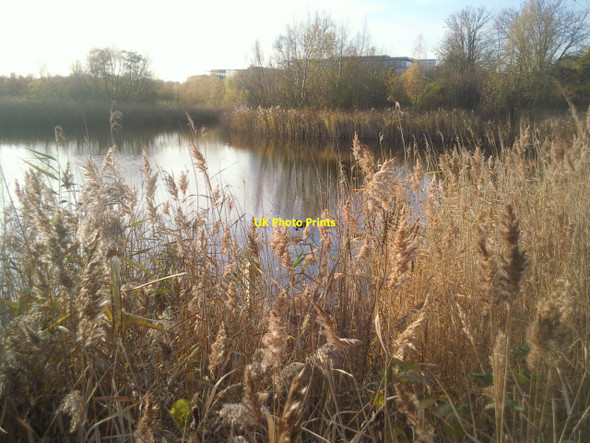 Photo 6"x4" Bedfont Lakes Country Park Ashford\/TQ0671 c2010