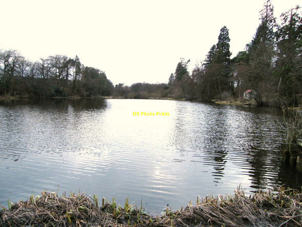Photo 6"x4" Low Pond, Lartington Lartington c2010