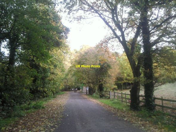 Photo 6"x4" Kemnal Road, Chislehurst Foxbury c2010