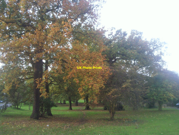Photo 6"x4" Wayside Grove Bromley\/TQ4069 c2010