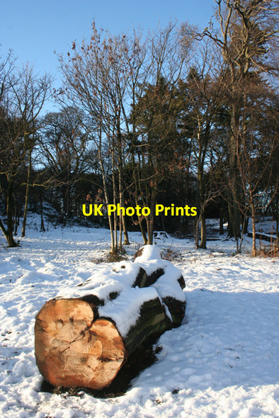 Photo 6"x4" Ravelston Woods Blackhall\/NT2174 c2011