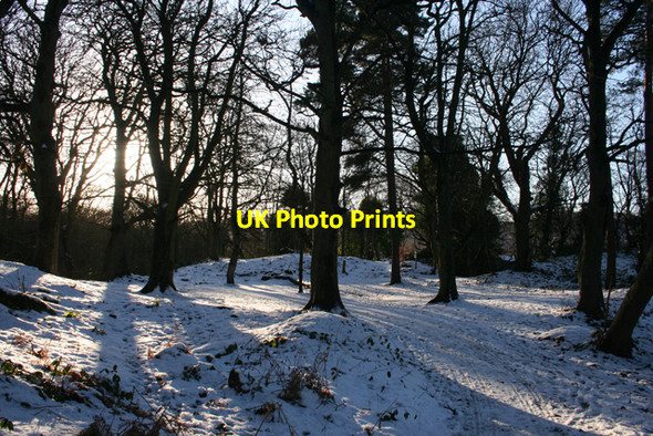 Photo 6"x4" Ravelston Woods Blackhall\/NT2174 c2011 P1