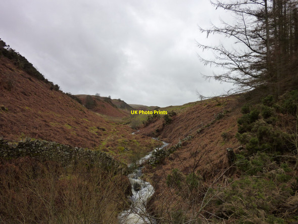 Photo 6"x4" Baston Burn Cambusdrenny c2011
