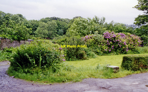 Photo 6"x4" Bruckless Station (site) Bruckless c1993