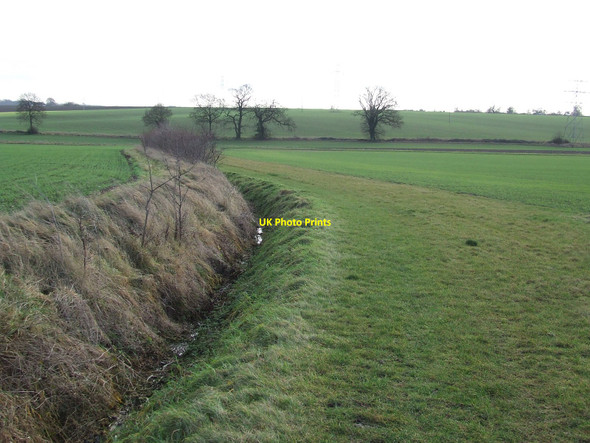 Photo 6"x4" Field Boundary Stowmarket c2011