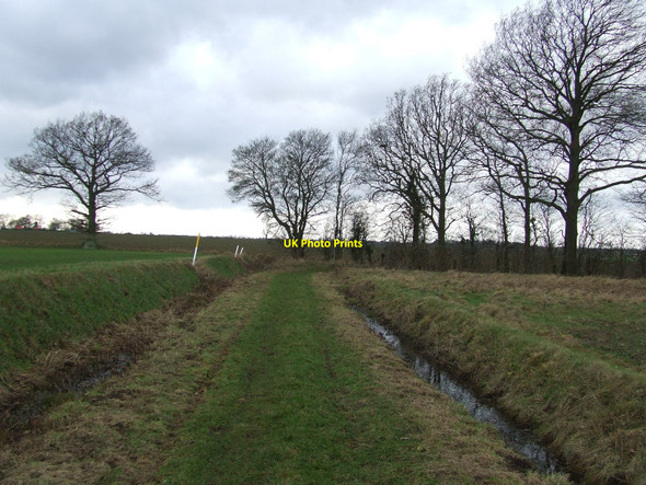 Photo 6"x4" Cagmans Lane High Street Green c2011