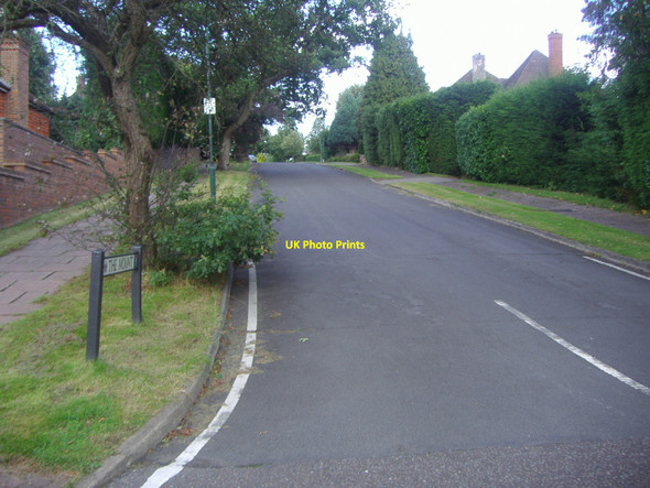 Photo 6"x4" The Mount, Esher Esher c2008