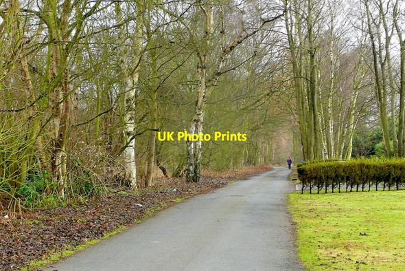 Photo 6"x4" Footpath to Scotton Scotton\/SK8899 c2011