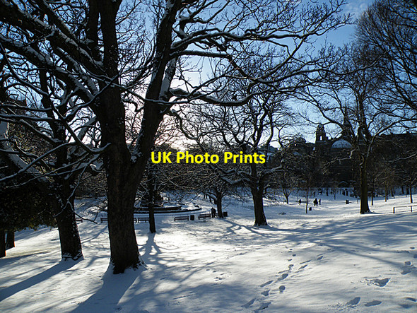 Photo 6"x4" Princes Street Gardens West Dean\/NT2474 c2011 P1