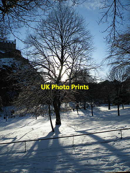 Photo 6"x4" Princes Street Gardens West Edinburgh c2011 P1