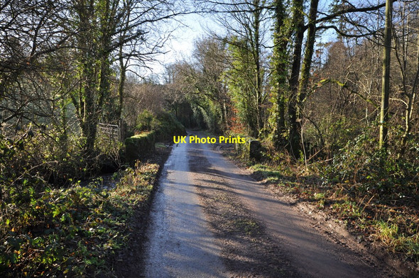 Photo 6"x4" A bridge on Rookbear Lane Muddiford c2011