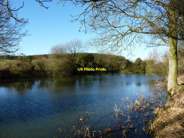 Photo 6"x4" A pool in a field near Oaks Oaks\/SJ4204 c2011