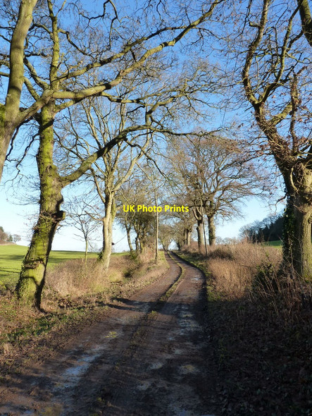 Photo 6"x4" Bridleway and access to the houses at Radleth Radlith c2011
