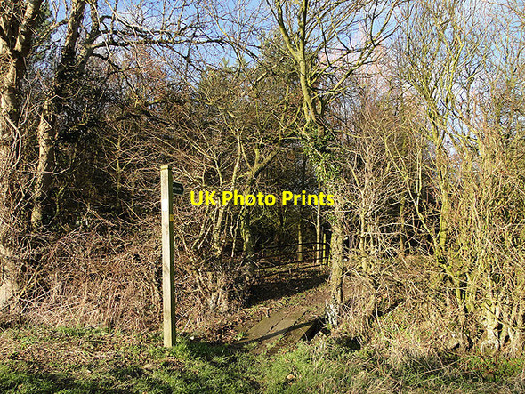 Photo 6"x4" Footbridge over ditch to footpath at Cratfield Swan Green\/TM2974 c2011