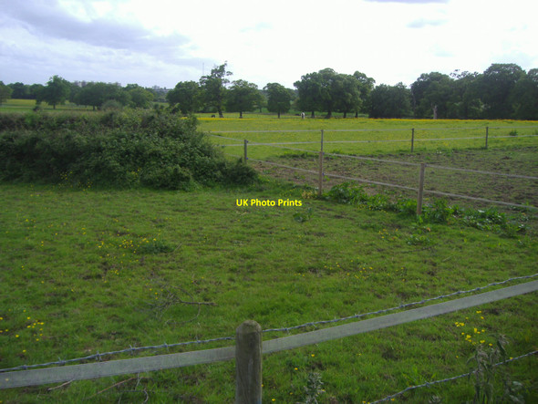 Photo 6"x4" Fields by Edgwarebury Lane Edgware c2009