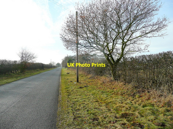 Photo 6"x4" Laughton Road Wharton\/SK8493 c2011