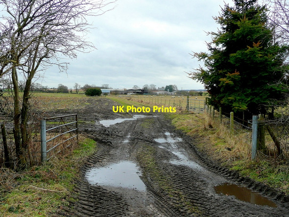 Photo 6"x4" Muddy field entrance Laughton\/SK8497 c2011