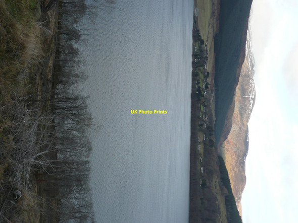 Photo 6"x4" Woodland on south bank of Loch Tay Fearnan c2011