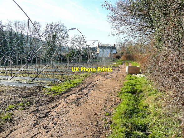 Photo 6"x4" Raspberry tunnels Kingstone\/SO6324 c2011