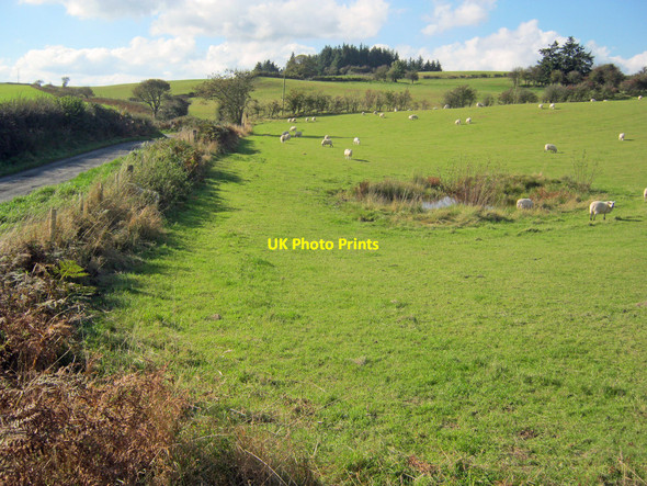 Photo 6"x4" Small pond near the Llangunllo lane Llangunllo c2010
