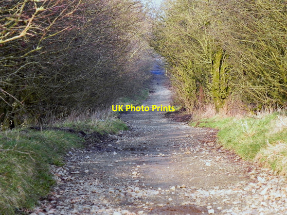 Photo 6"x4" Pit Lane Milnrow c2011