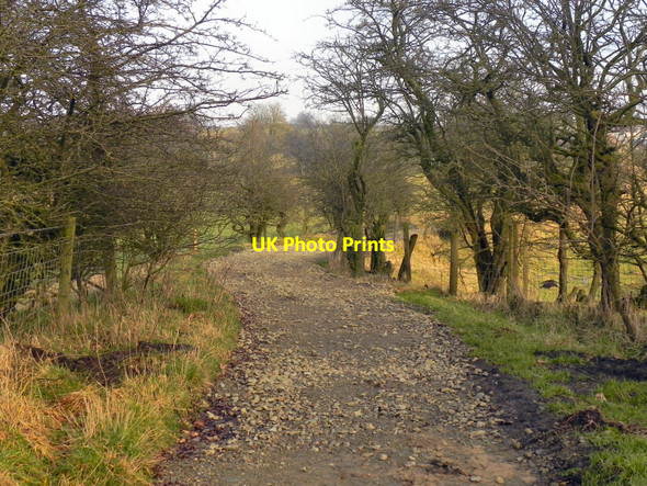 Photo 6"x4" Pit Lane Milnrow c2011