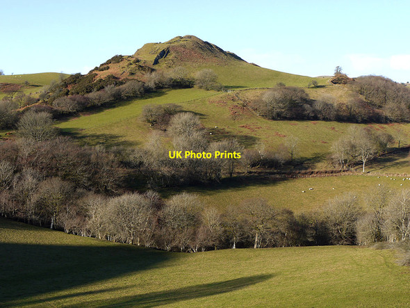 Photo 6"x4" Hill above Ty'n-y-castell farm Devil's Bridge\/Pontarfynach c2011