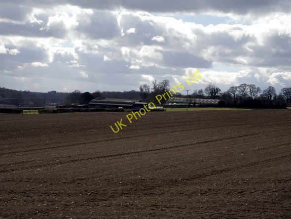 Photo 6"x4" Westfield Farm Cheriton\/SU5828 c2006