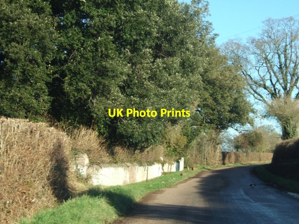 Photo 6"x4" Country road passing Newlands Farm Higher Burrowtown c2011