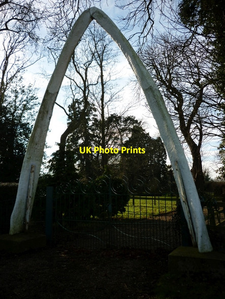 Photo 6"x4" A Whalebone arch at Threekingham Threekingham c2011