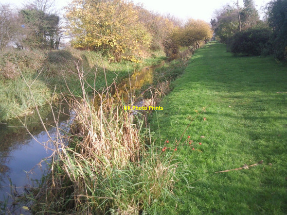 Photo 6"x4" Bank of the Duke of Northumberland's River Feltham\/TQ1073 c2010