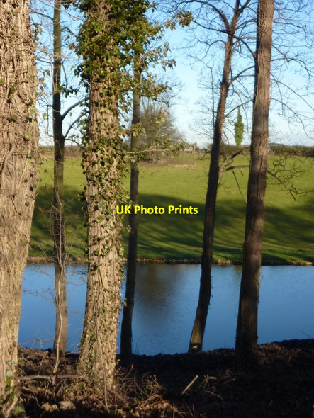 Photo 6"x4" Small lake near Whaley Whaley c2011