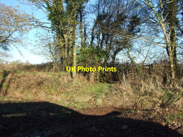 Photo 6"x4" Footpath to Aunk Aunk c2011