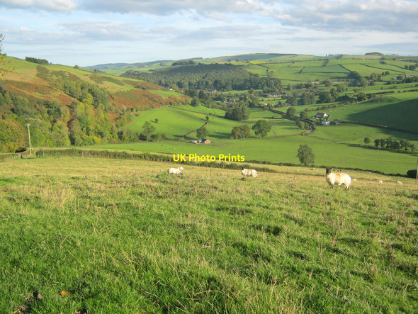 Photo 6"x4" Sheep pasture above Cwm Gilla Garth\/SO2772 c2010