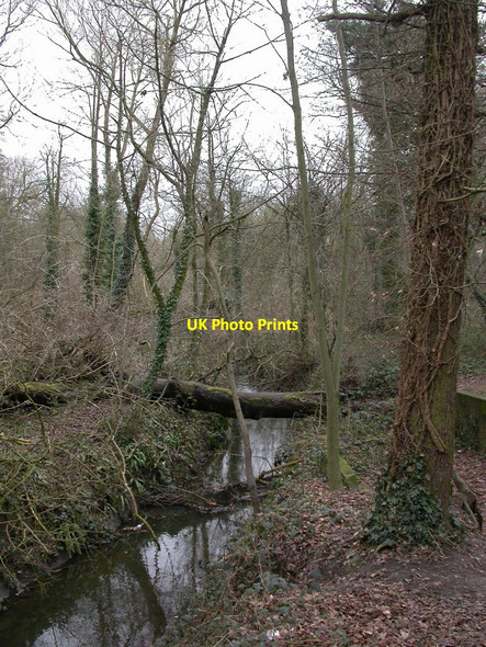 Photo 6"x4" Stafford, nature reserve Stafford c2011