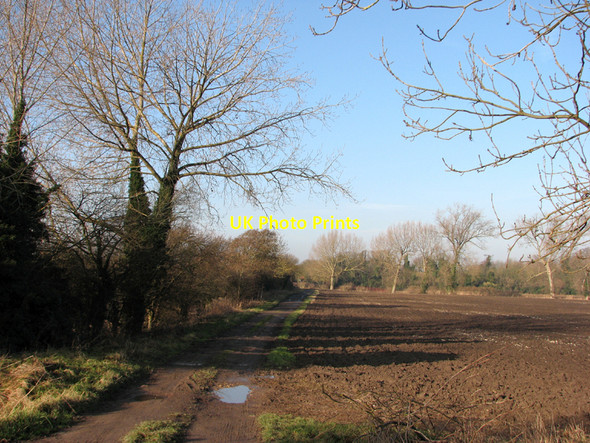 Photo 6"x4" Fulbourn: looking towards Stonebridge Lane Fulbourn c2011