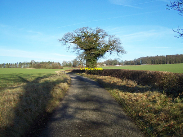 Photo 6"x4" Bridleway To Hoar Cross Hoar Cross c2011