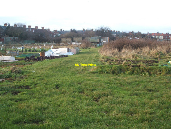 Photo 6"x4" Allotments near Bridlington Town A.F.C. ground Bridlington c2011