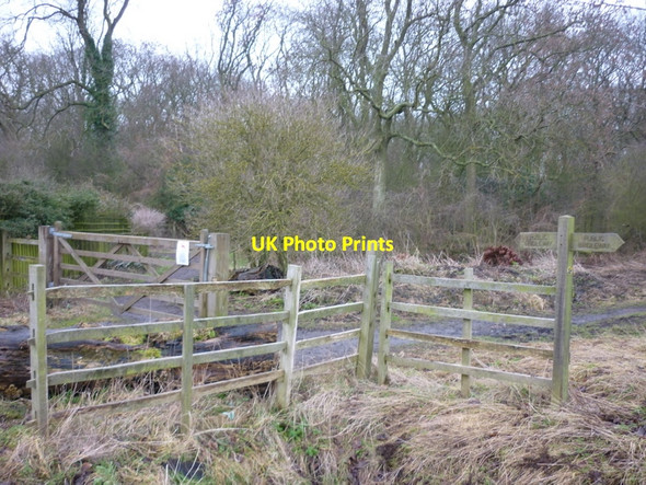 Photo 6"x4" A crossroads of bridleways, near Bradley Bradley\/TA2406 c2011