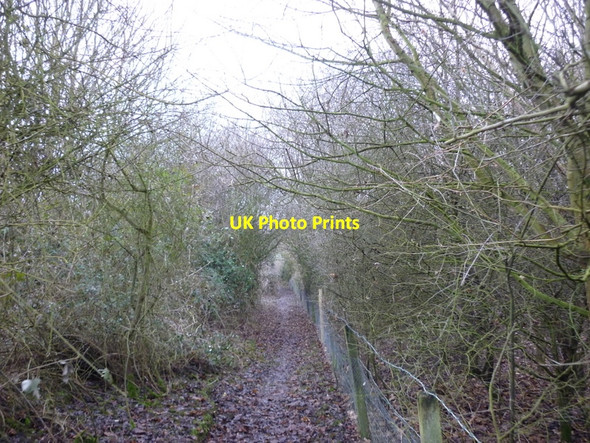 Photo 6"x4" A footpath towards Brigsley Brigsley c2011