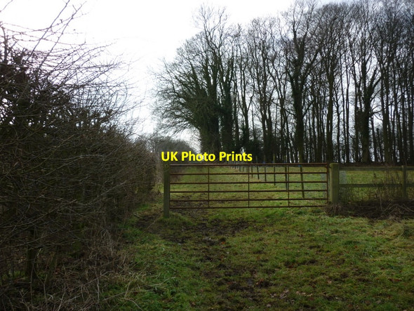 Photo 6"x4" A bridleway to East Ravendale Ashby Hill c2011