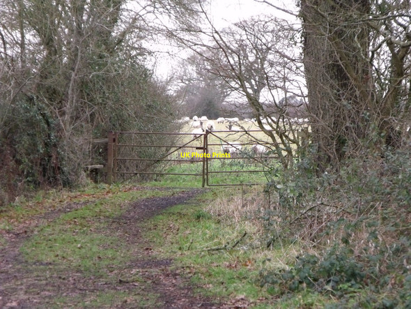 Photo 6"x4" Public Footpath by Twineham church, West Sussex Twineham c2011