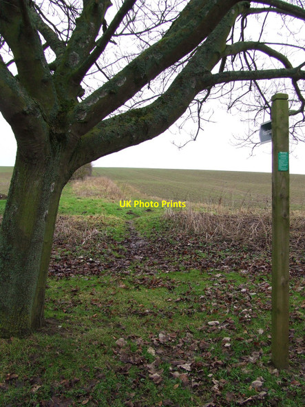 Photo 6"x4" Footpath Off Holly Road Offton c2011