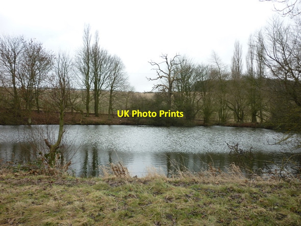 Photo 6"x4" A pond near Cadeby Hall Ludborough c2011